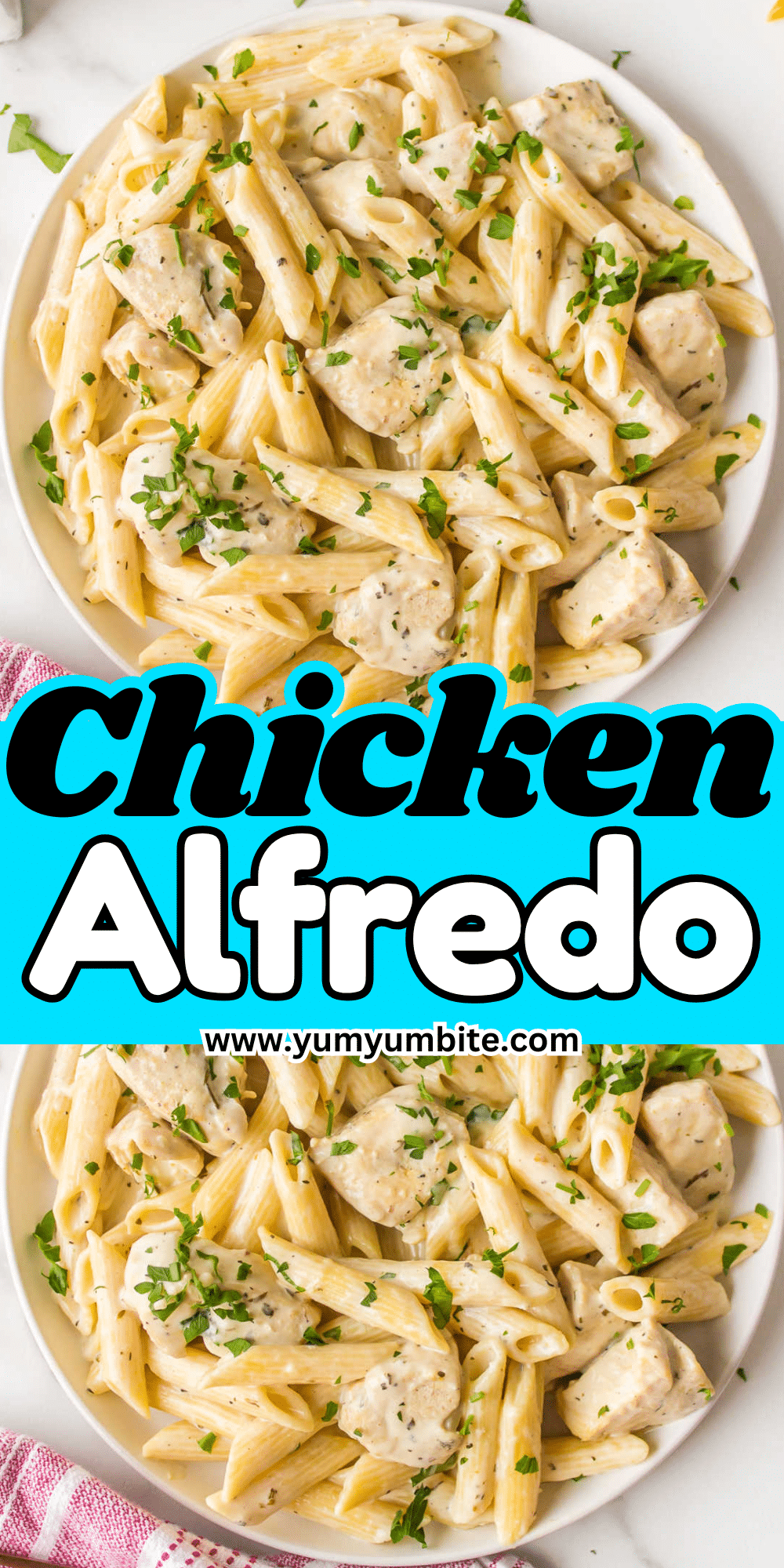 Chicken Alfredo