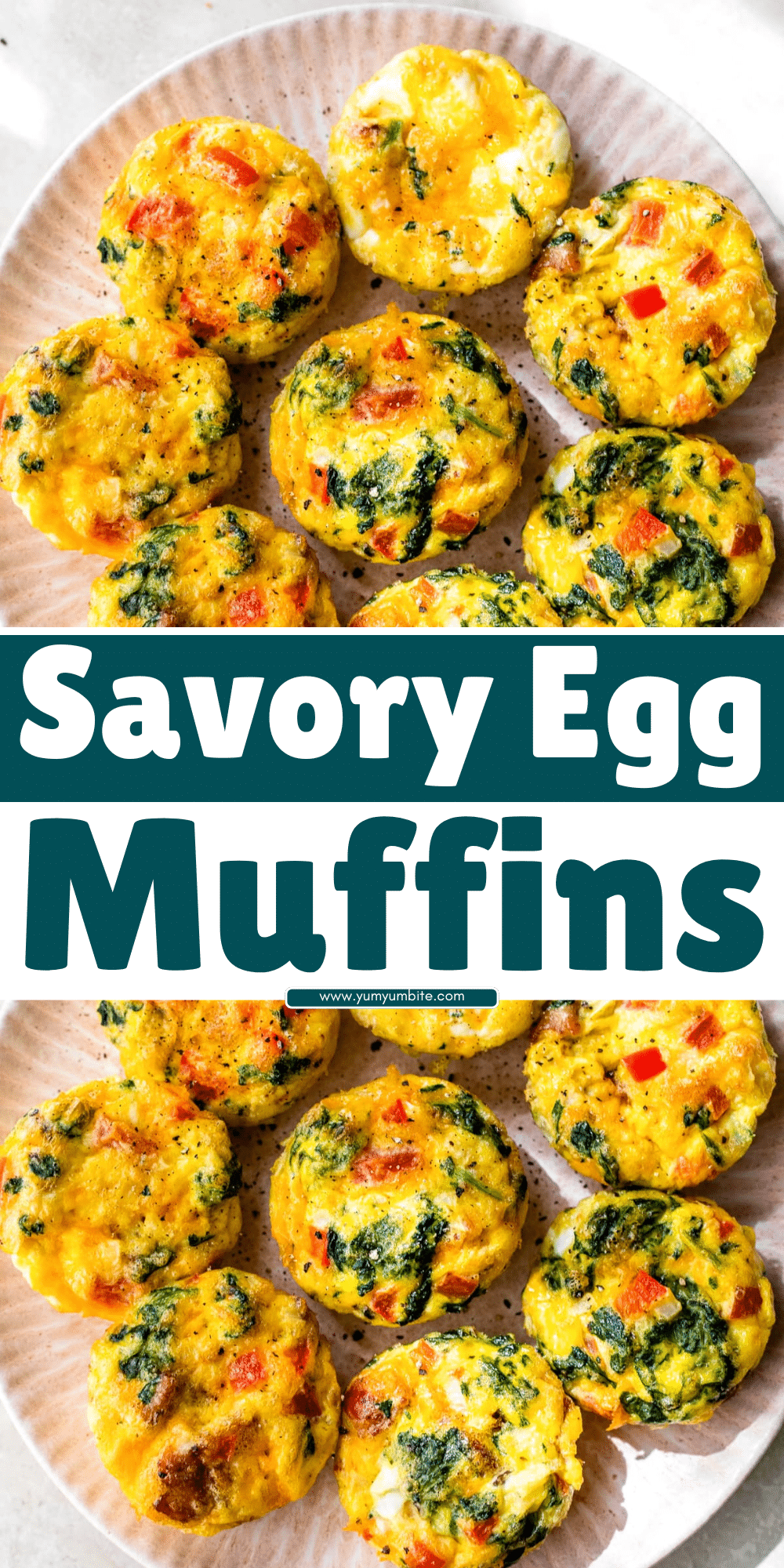 Egg Muffins