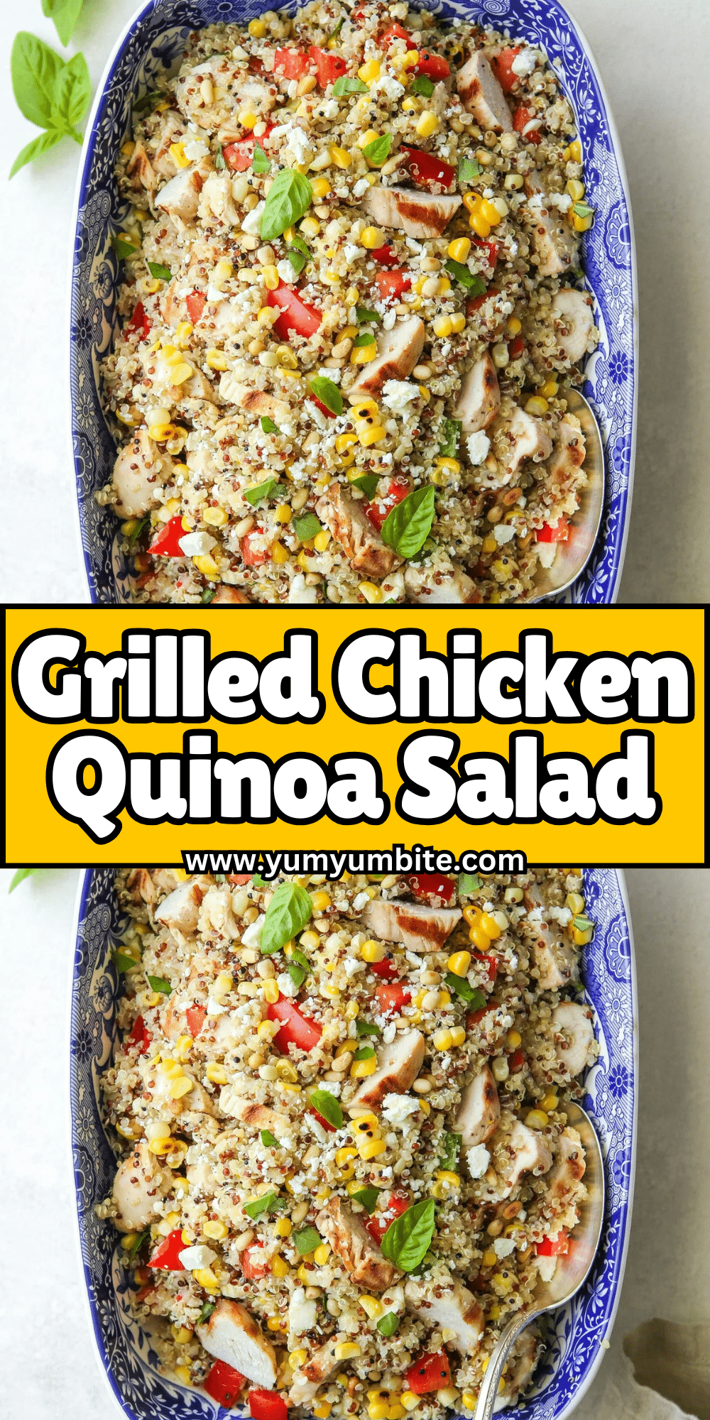 Grilled Chicken Quinoa Salad