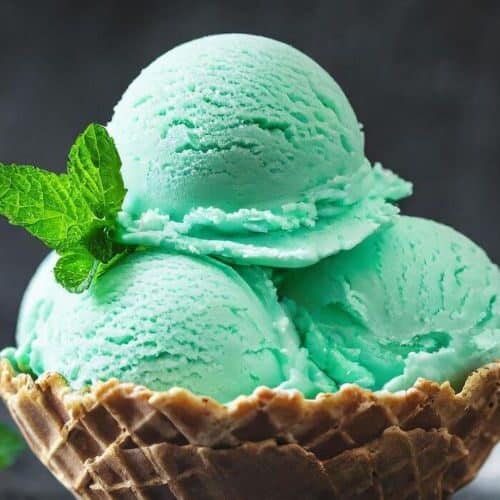 Mint Chip Ice Cream