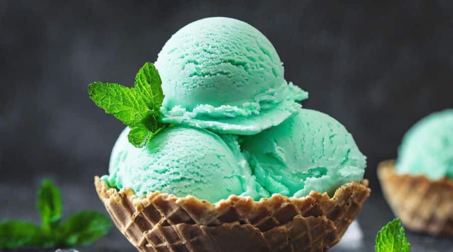 Mint Chip Ice Cream