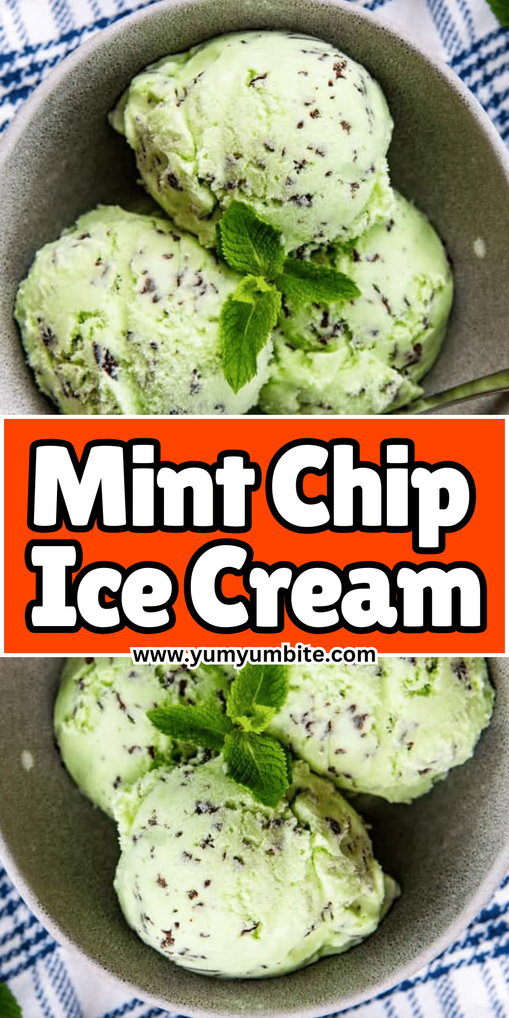 Mint Chip Ice Cream