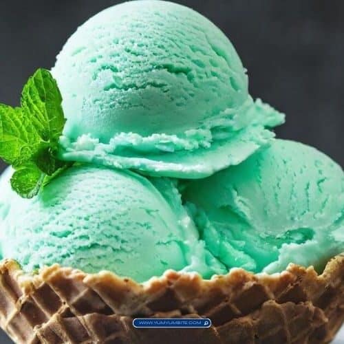 Mint Chocolate Chip Ice Cream