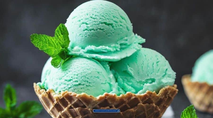 Mint Chocolate Chip Ice Cream