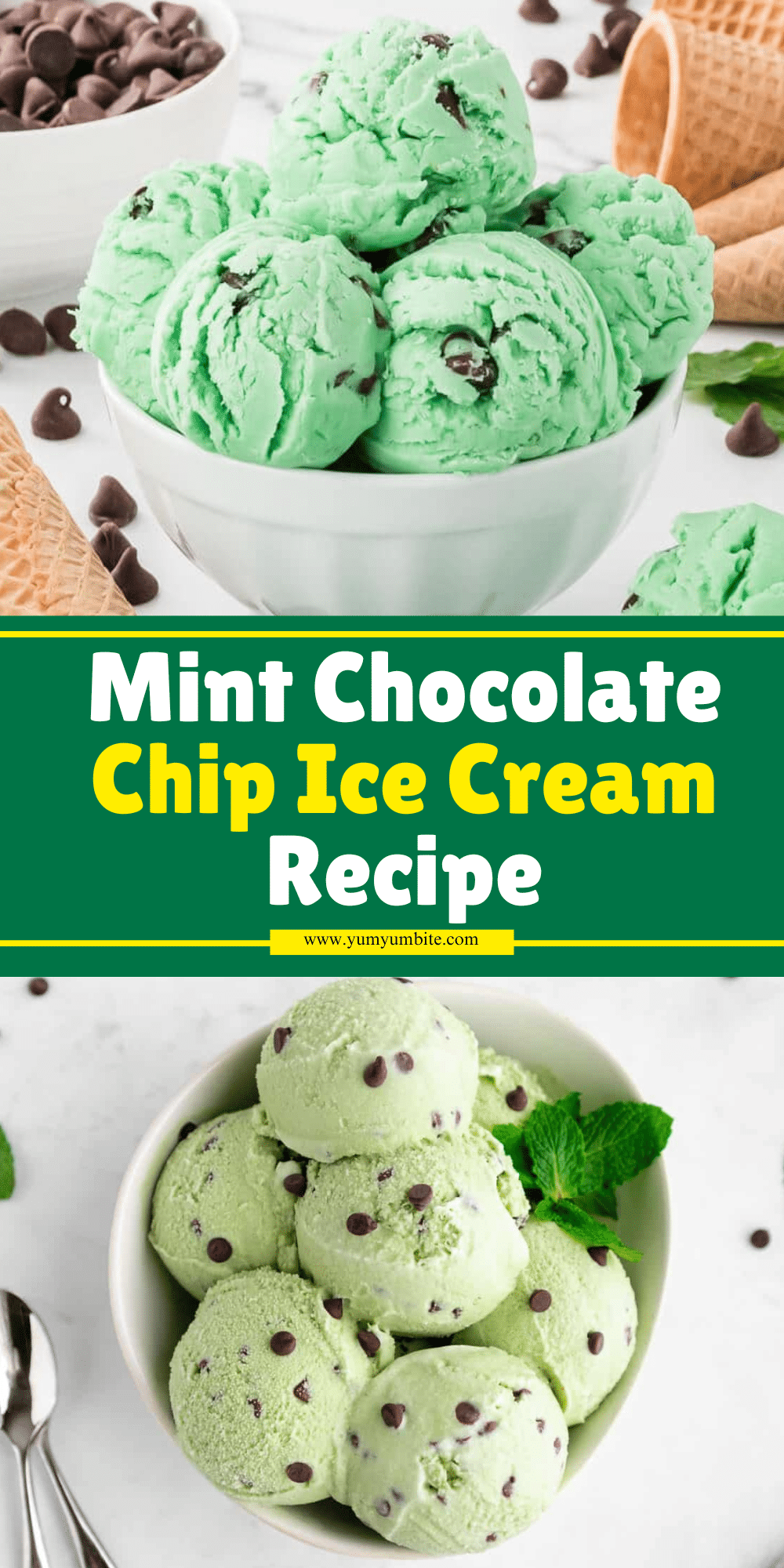 Mint Chocolate Chip Ice Cream