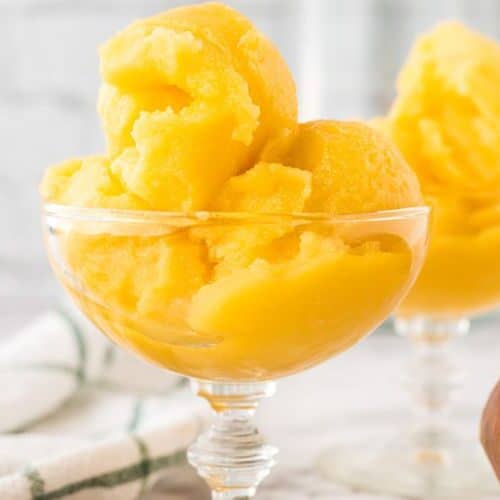 Ninja Creami Mango Sorbet