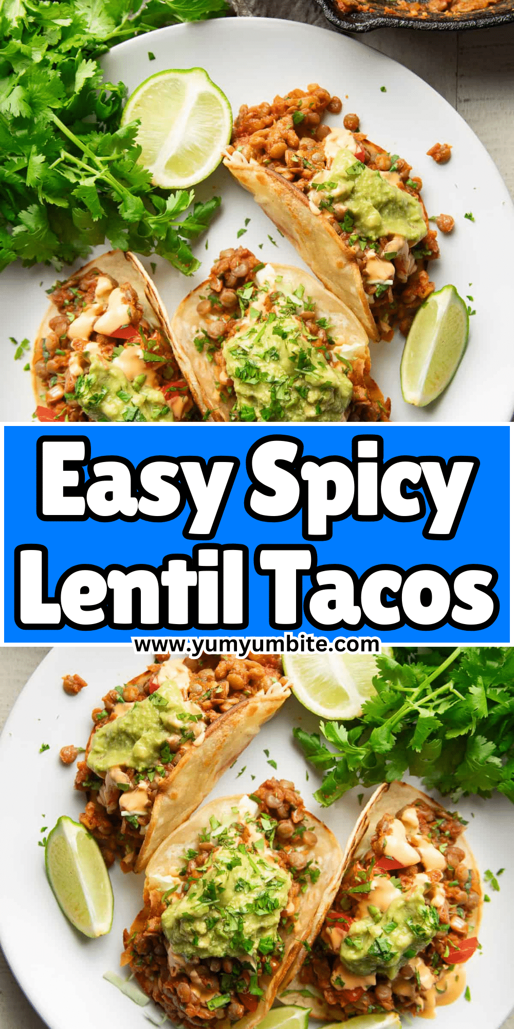 Spicy Lentil Tacos