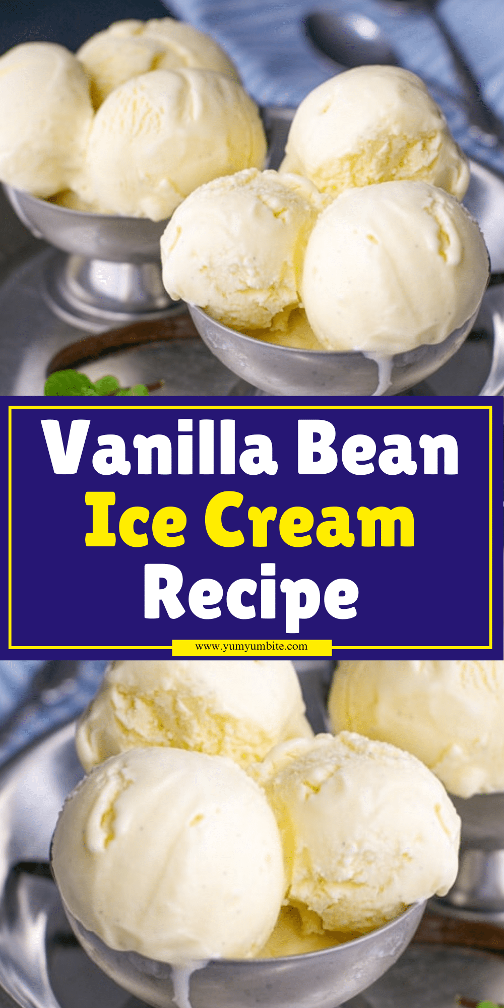 Vanilla Bean Ice Cream