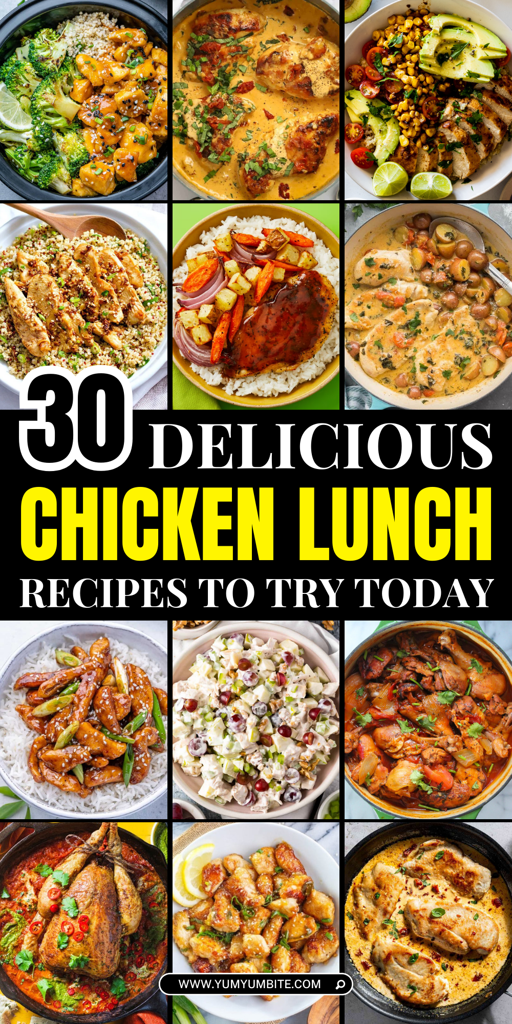 chicken lunch recipes