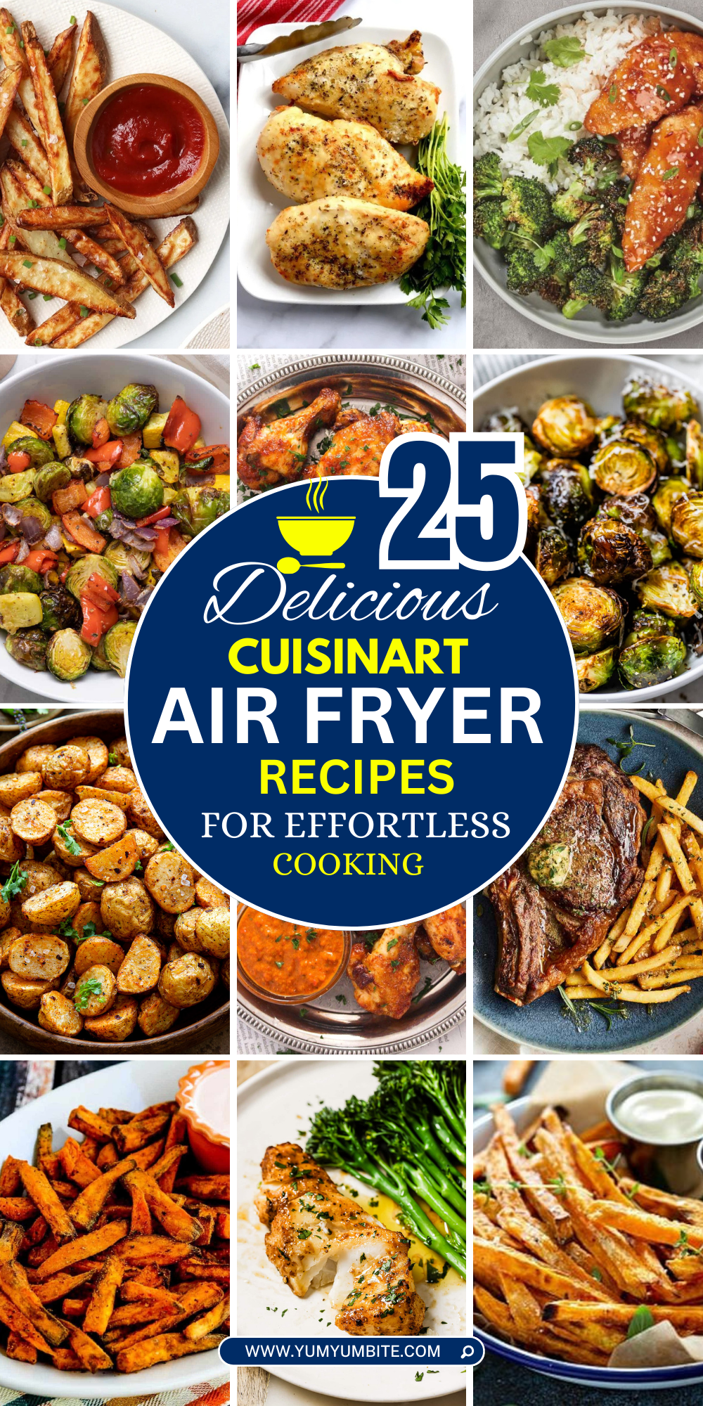 cuisinart air fryer recipes