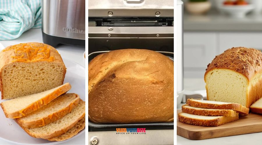 cuisinart bread maker recipes