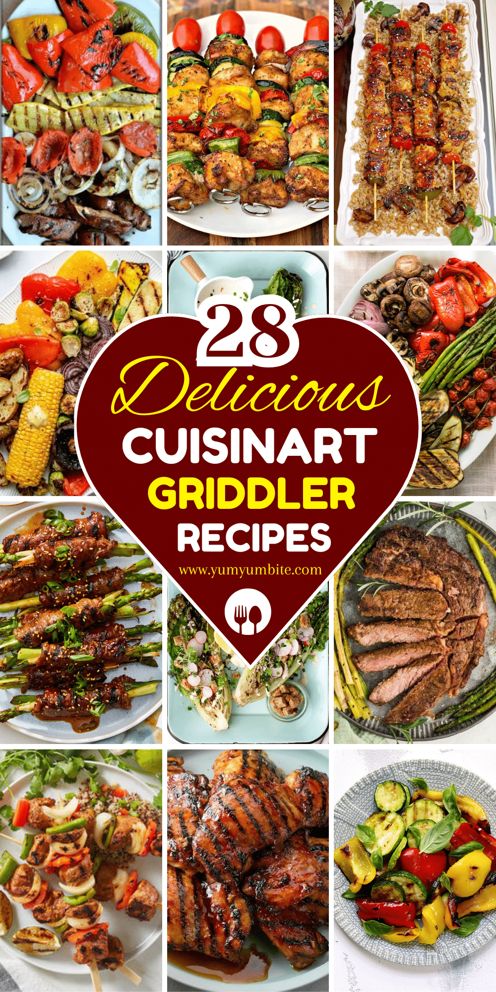 cuisinart griddler recipes