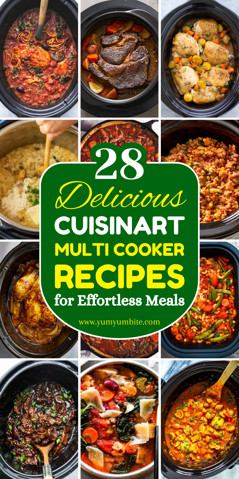 cuisinart multi cooker recipes