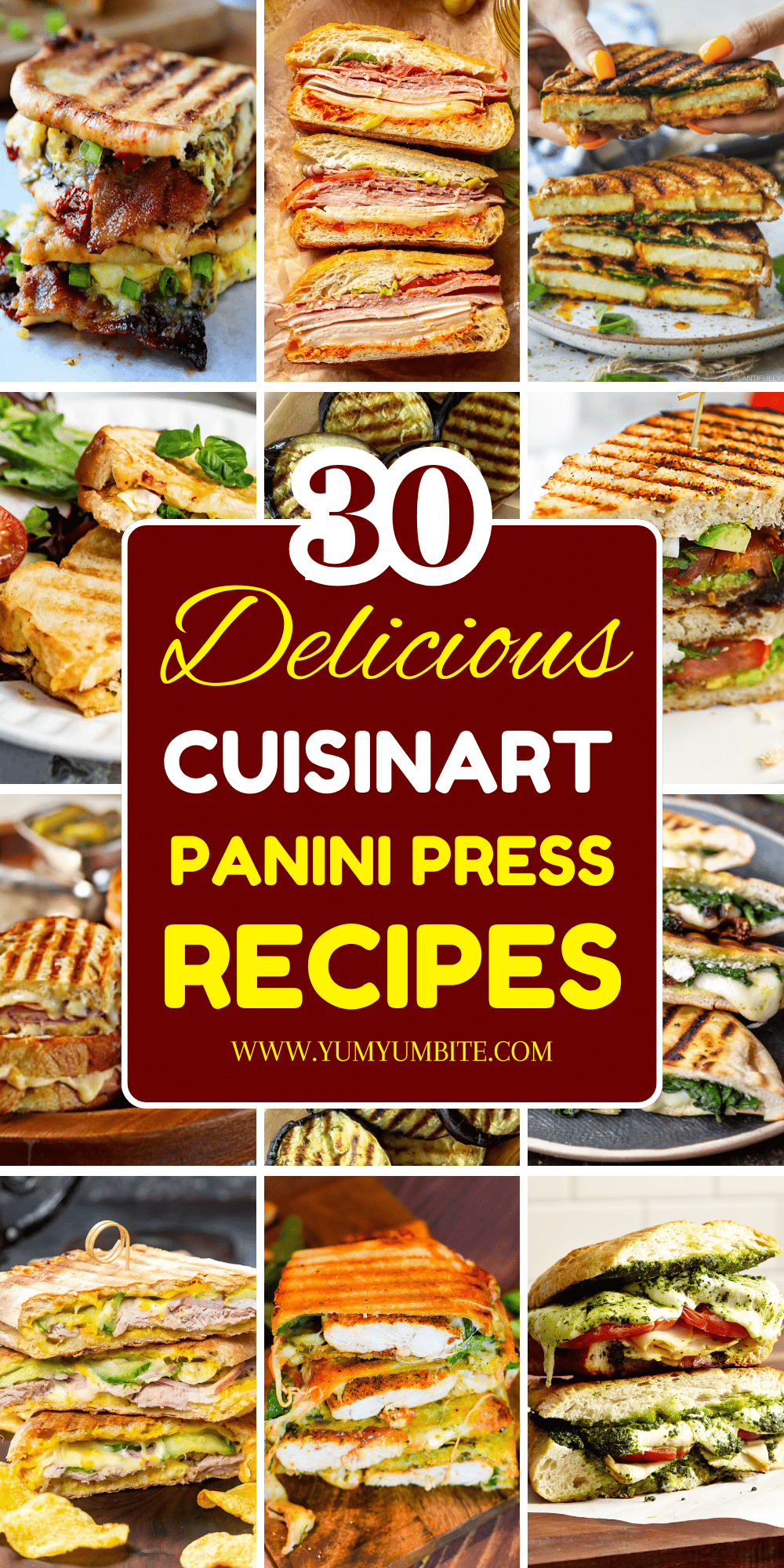 cuisinart panini press recipes