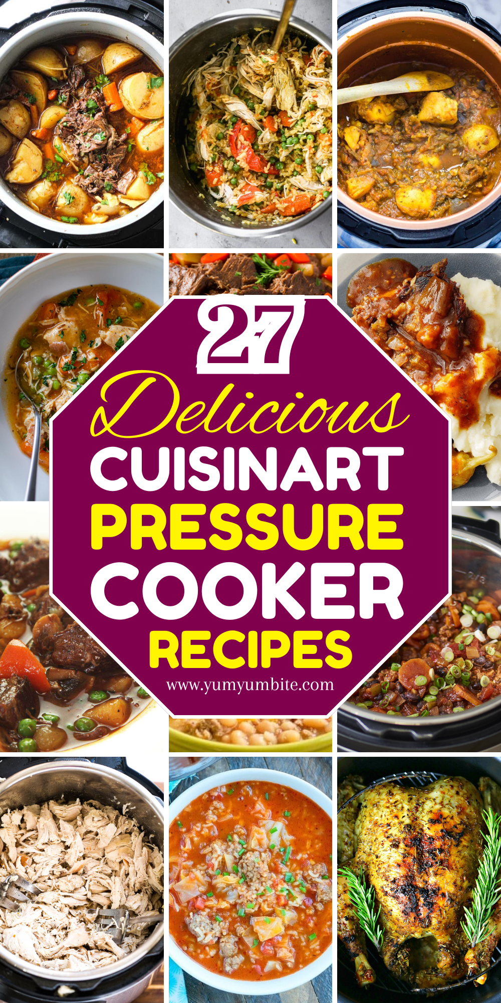 cuisinart pressure cooker recipes