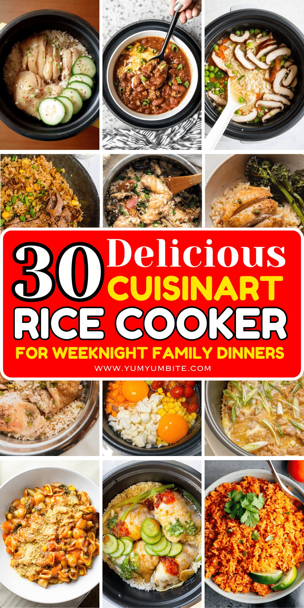 cuisinart rice cooker recipes