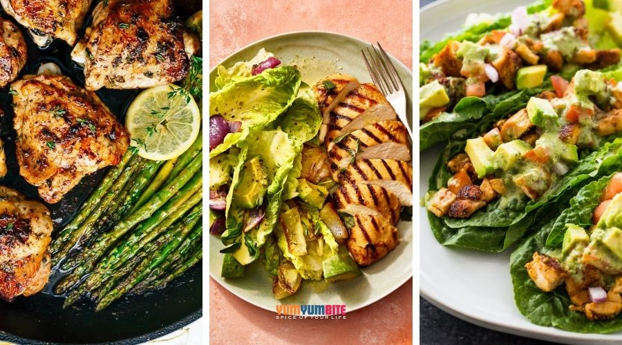 high protein low carb recipes