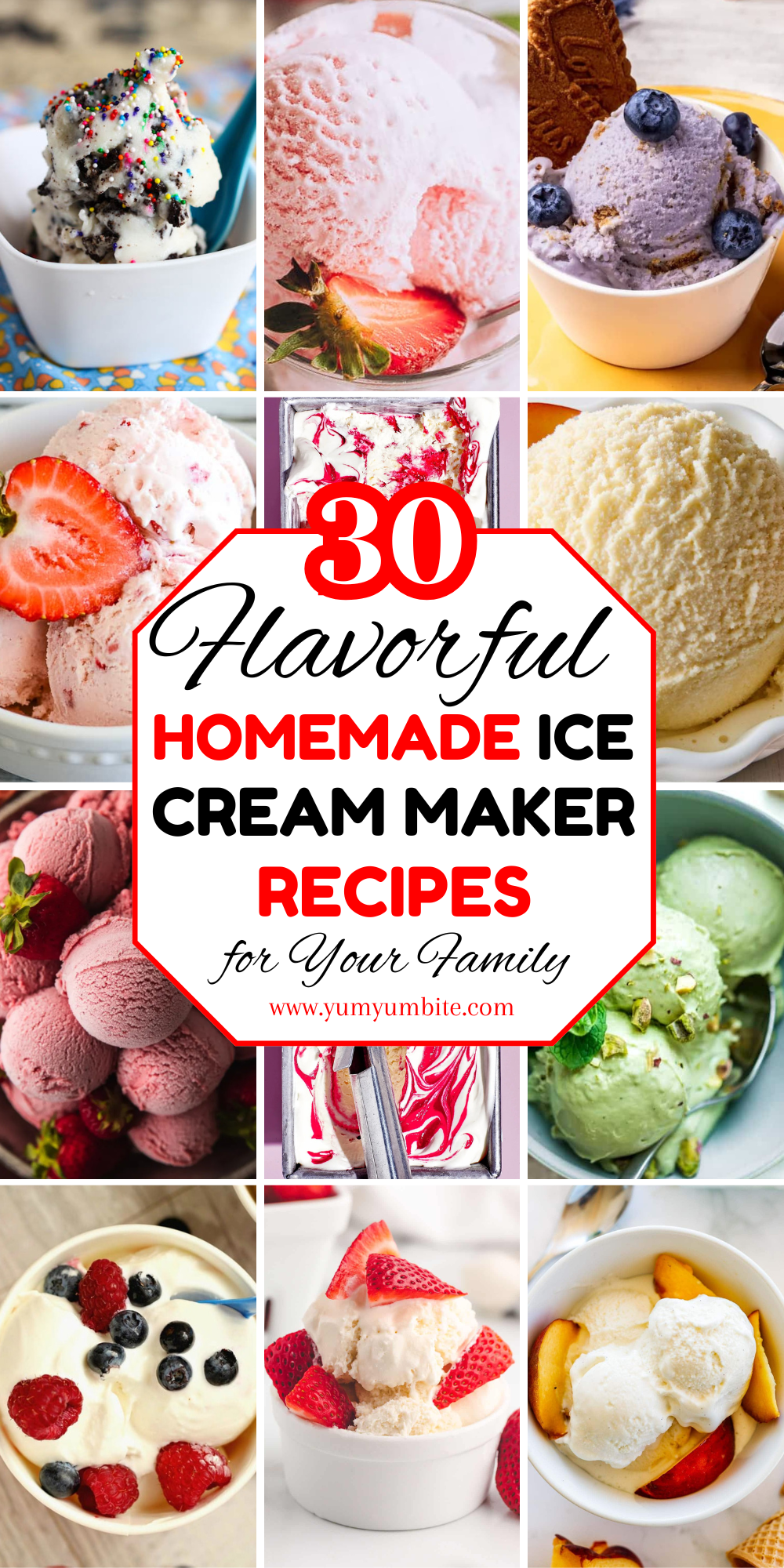 homemade ice cream maker recipes