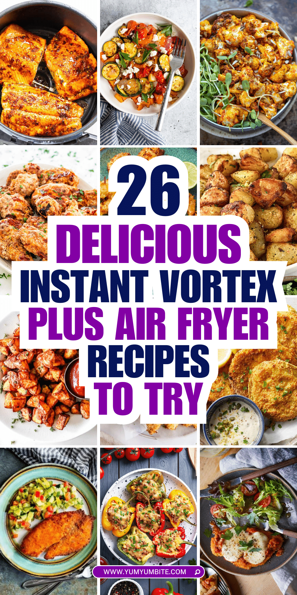 instant vortex plus air fryer recipes