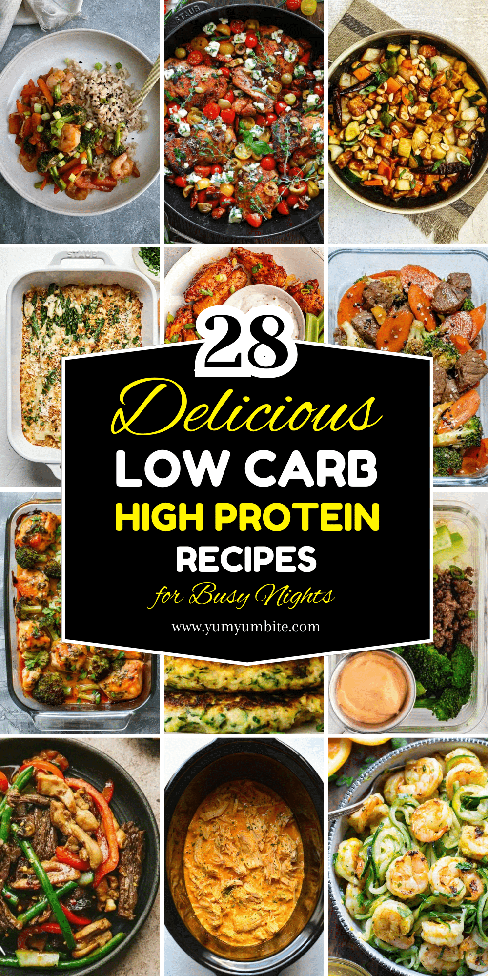 low carb high protein recipes