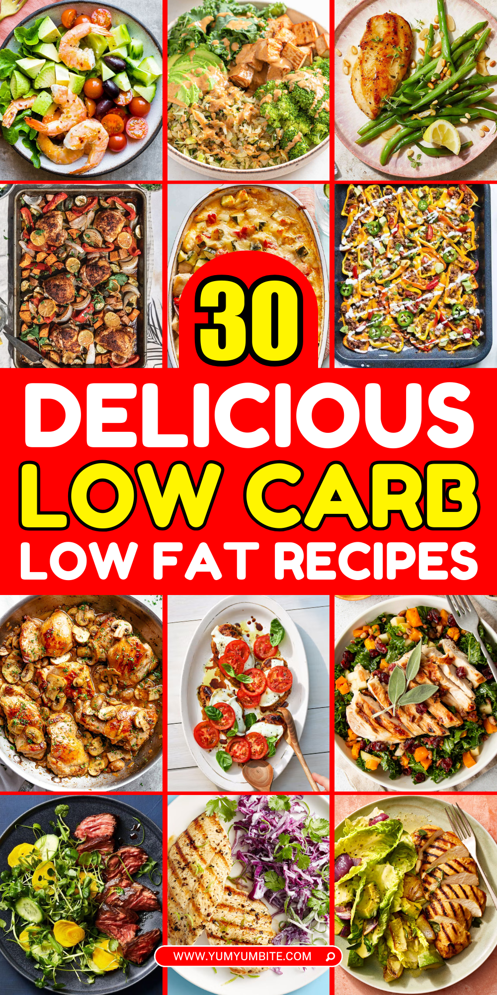 low carb low fat recipes