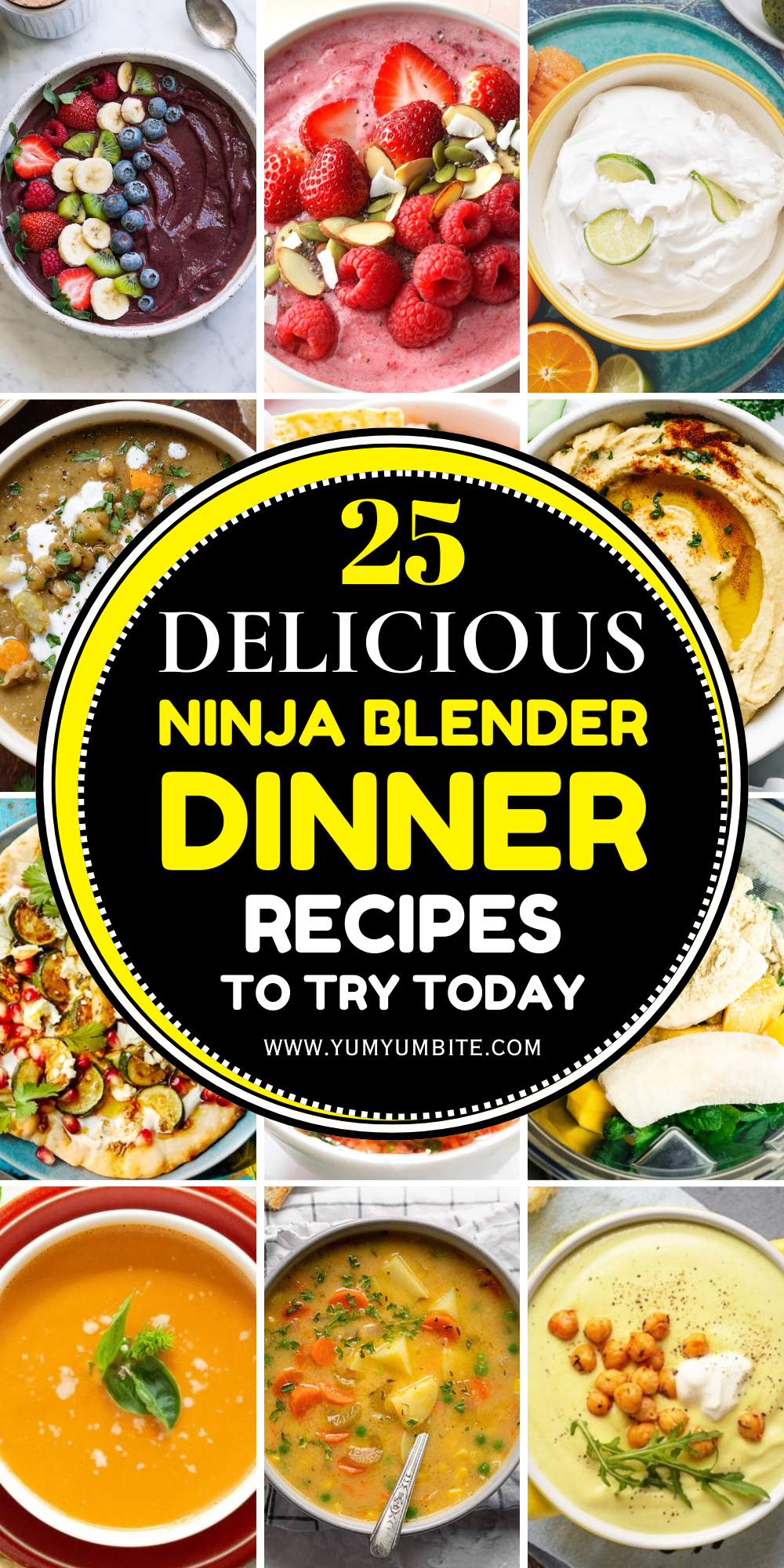 ninja blender dinner recipes