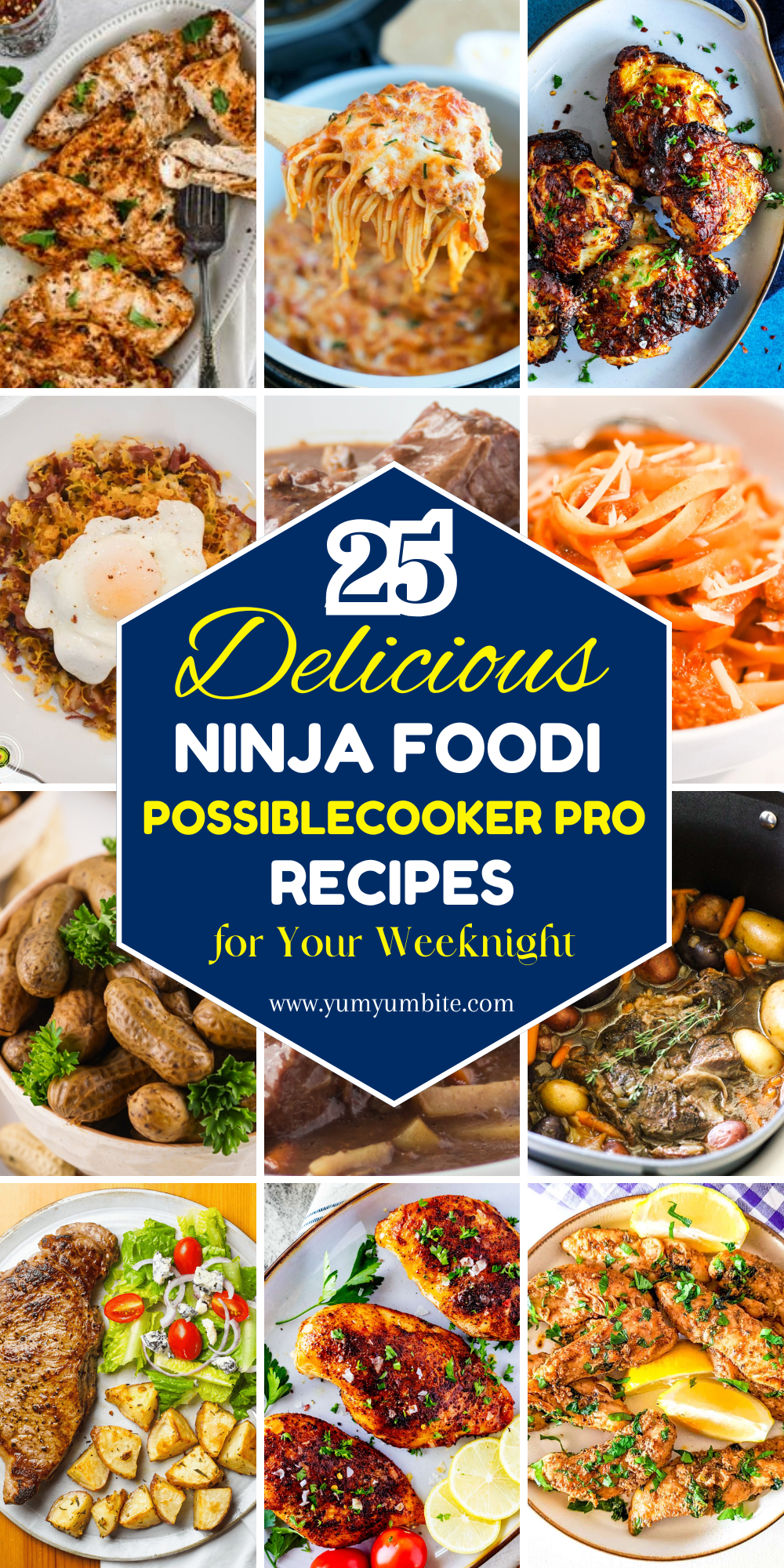 ninja foodi possiblecooker pro recipes