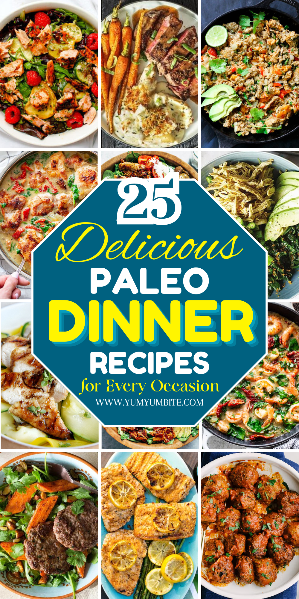 paleo dinner recipes