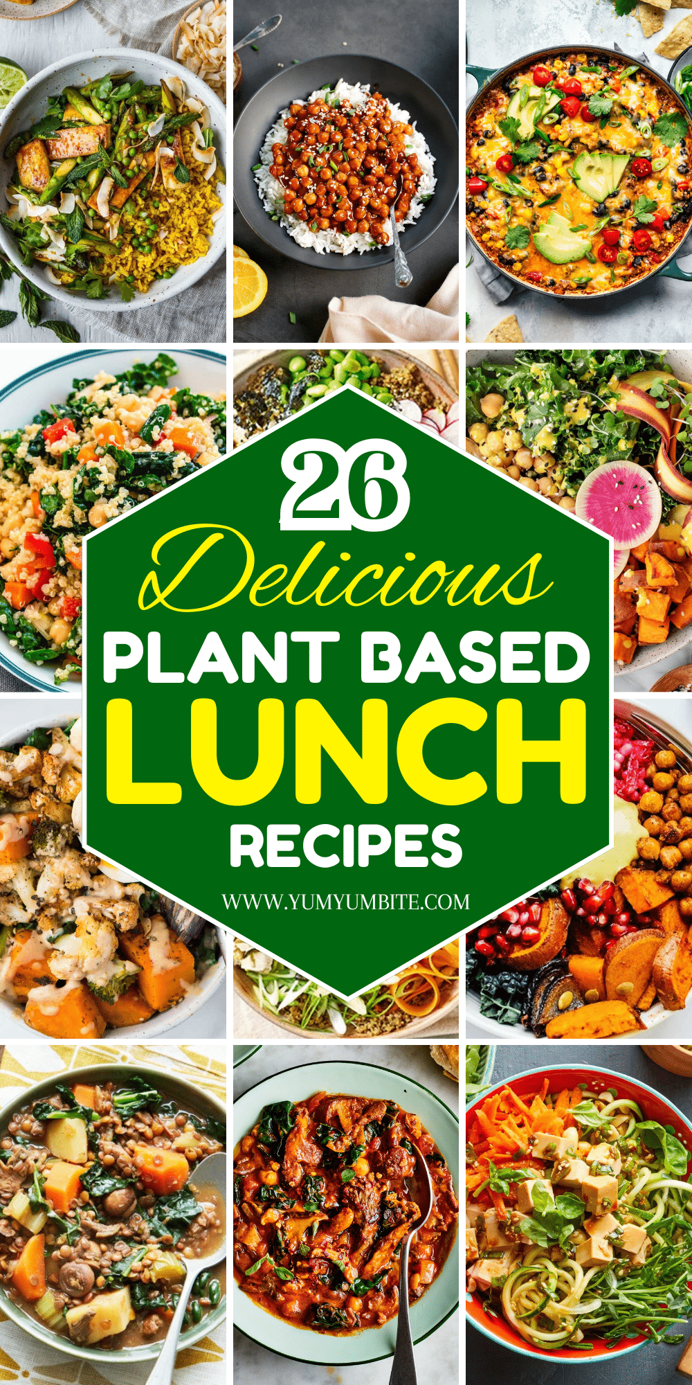 plant based lunch recipes