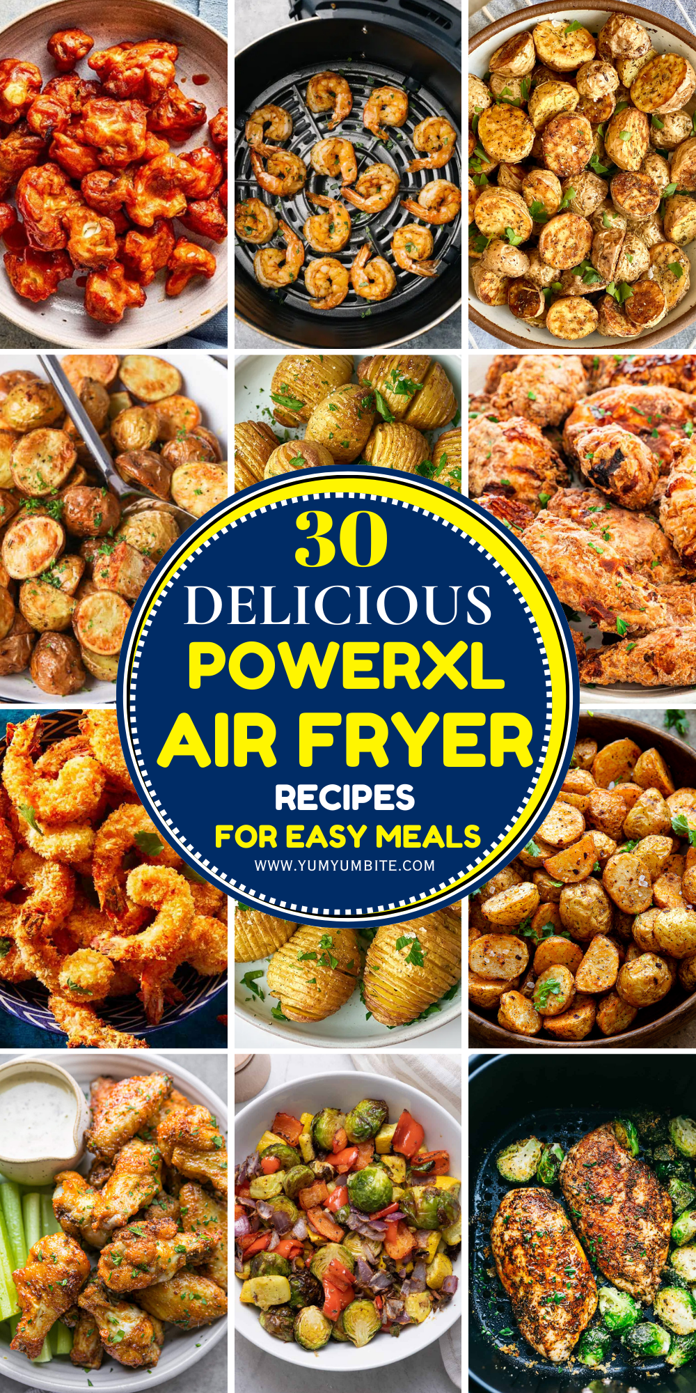 powerxl air fryer recipes