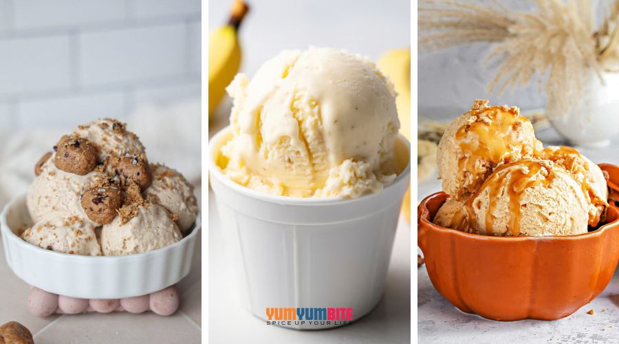 rival ice cream maker recipes