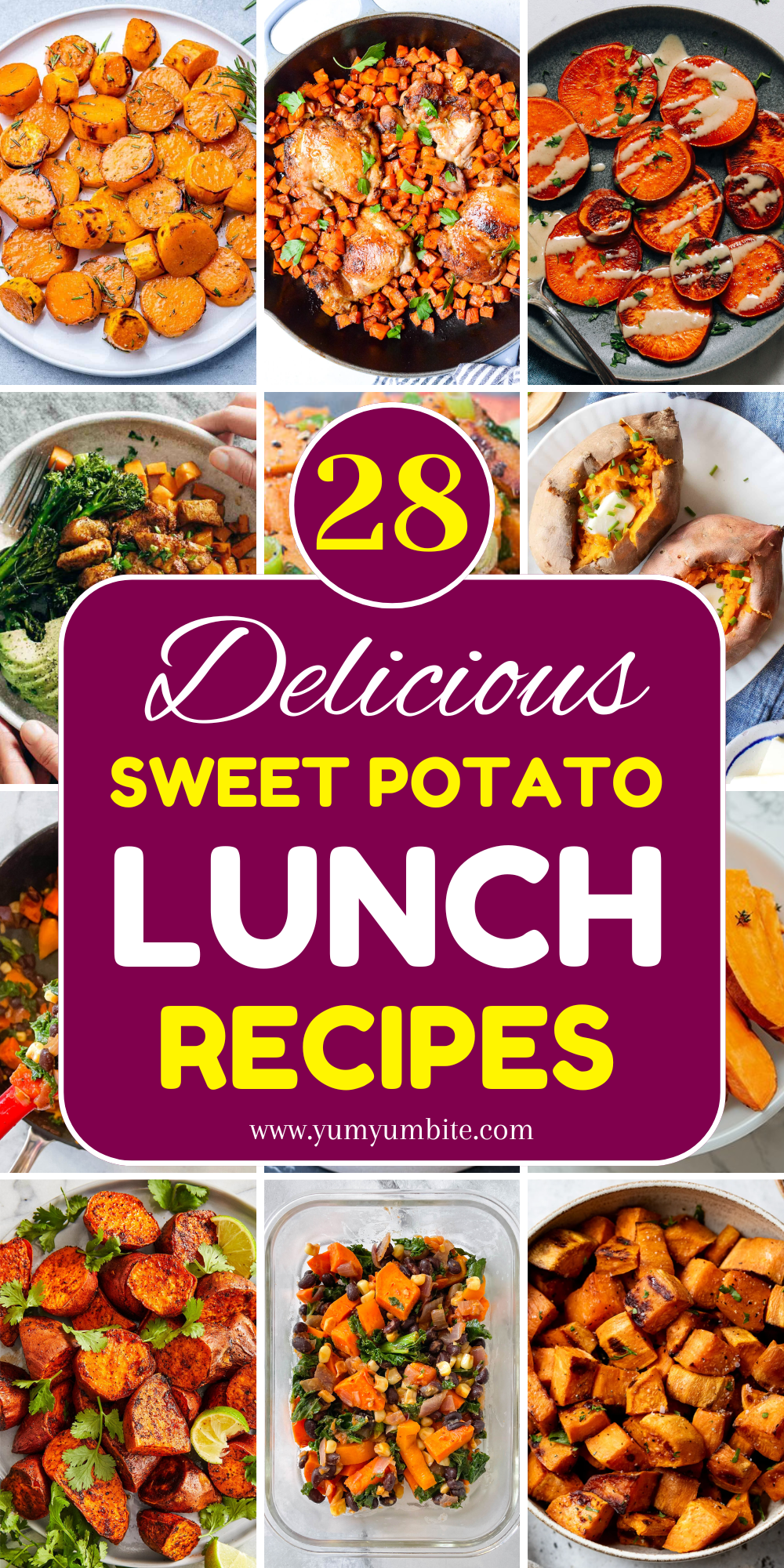 sweet potato lunch recipes