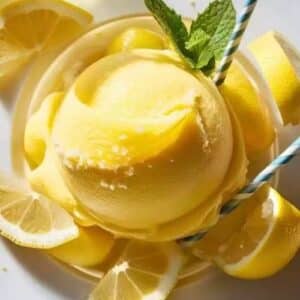 Ninja Creami Lemon Sorbet