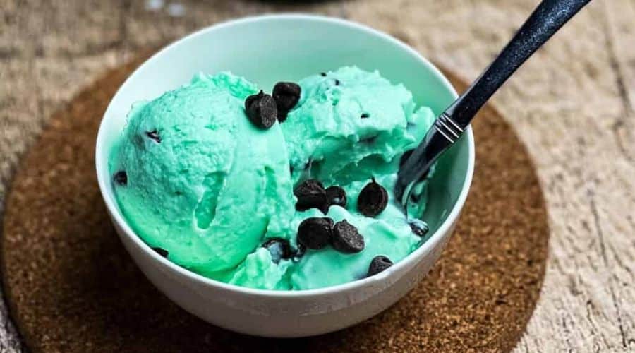 Ninja Creami Mint Chocolate Chip Ice Cream (1)