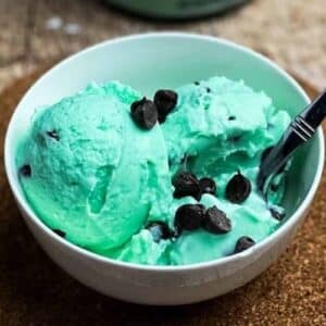 Ninja Creami Mint Chocolate Chip Ice Cream