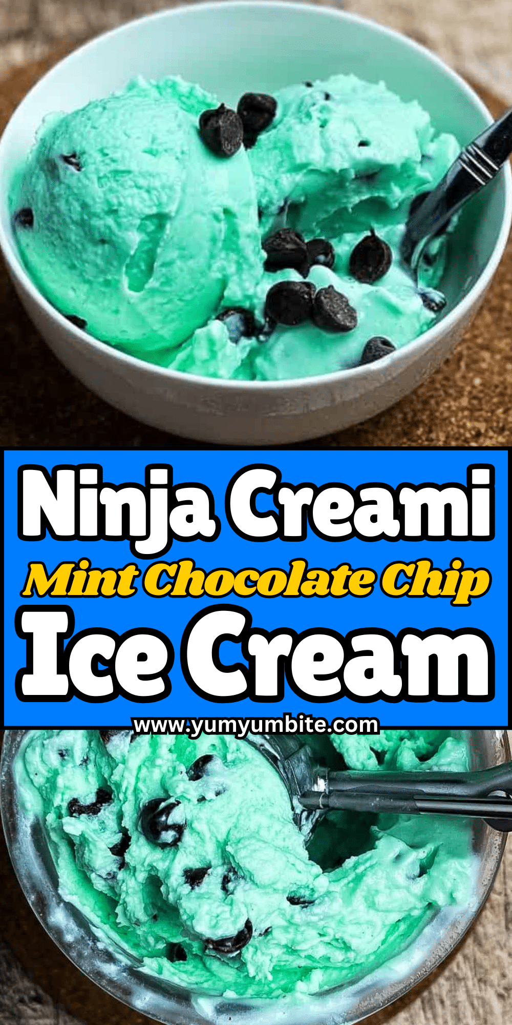 Ninja Creami Mint Chocolate Chip Ice Cream